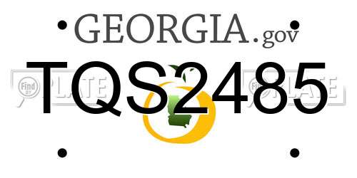 TQS2485 Georgia License Plate