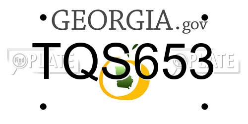 TQS653 Georgia License Plate