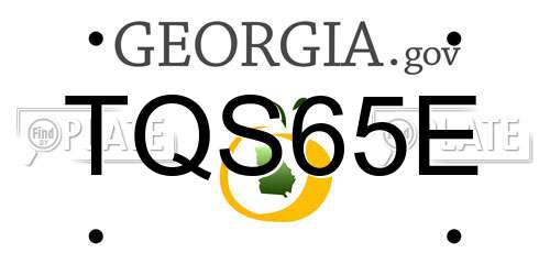 TQS65E Georgia License Plate