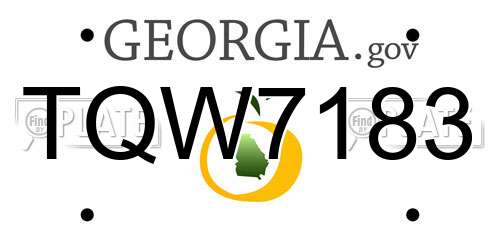 TQW7183 Georgia License Plate
