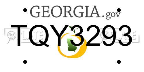 TQY3293 Georgia License Plate