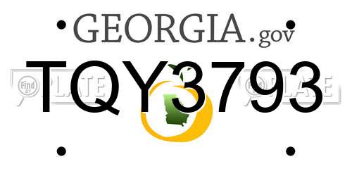 TQY3793 Georgia License Plate