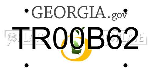 TR00B62 Georgia License Plate