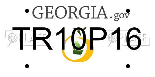 TR10P16 Georgia License Plate