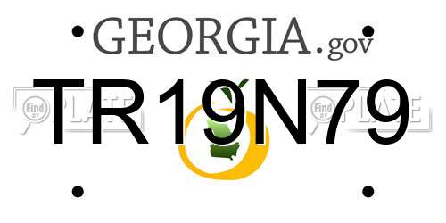 TR19N79 Georgia License Plate
