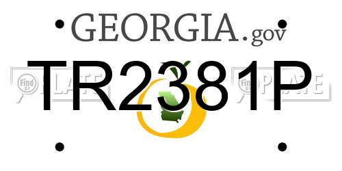 TR2381P Georgia License Plate