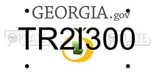 TR2I300 Georgia License Plate