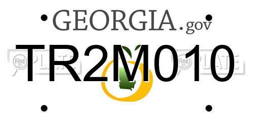 TR2M010 Georgia License Plate