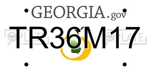 TR36M17 Georgia License Plate