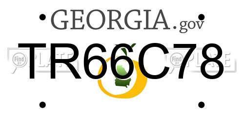 TR66C78 Georgia License Plate
