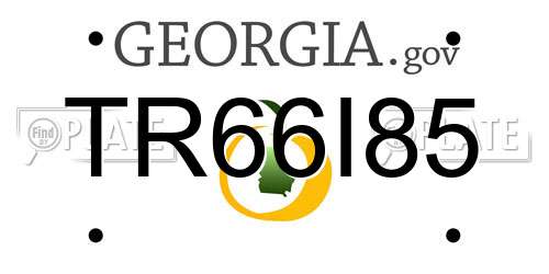 TR66I85 Georgia License Plate