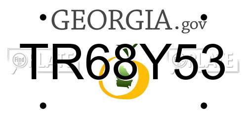 TR68Y53 Georgia License Plate