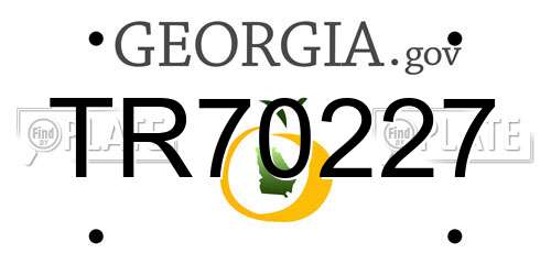 TR70227 Georgia License Plate