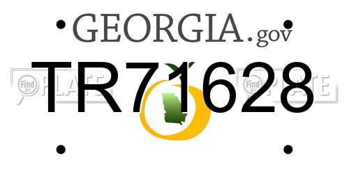 TR71628 Georgia License Plate