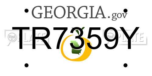 TR7359Y Georgia License Plate