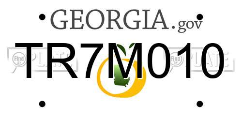 TR7M010 Georgia License Plate
