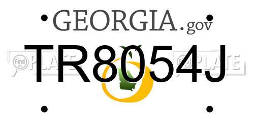TR8054J Georgia License Plate