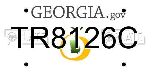 TR8126C Georgia License Plate
