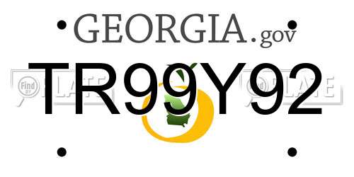 TR99Y92 Georgia License Plate
