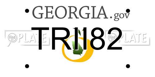 TRII82 Georgia License Plate