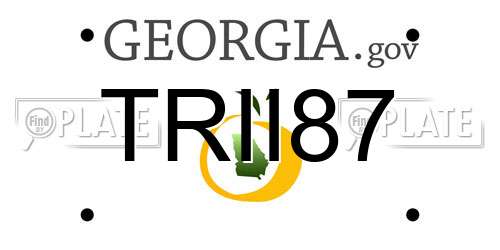 TRII87 Georgia License Plate