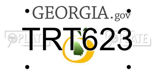 TRT623 Georgia License Plate
