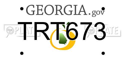 TRT673 Georgia License Plate