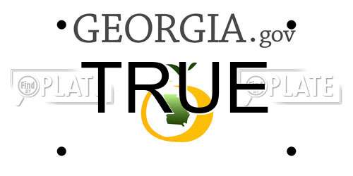 TRUE Georgia License Plate
