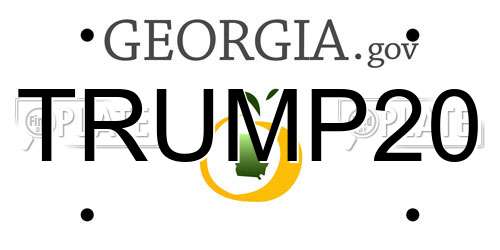 TRUMP20 Georgia License Plate