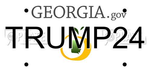 TRUMP24 Georgia License Plate