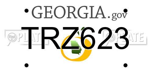 TRZ623 Georgia License Plate