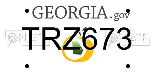 TRZ673 Georgia License Plate