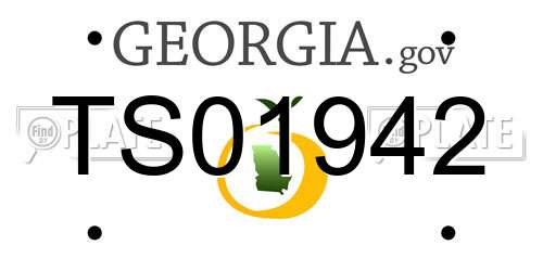 TS01942 Georgia License Plate
