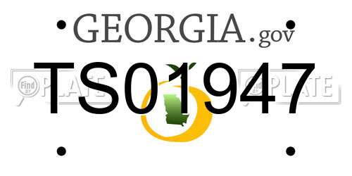 TS01947 Georgia License Plate
