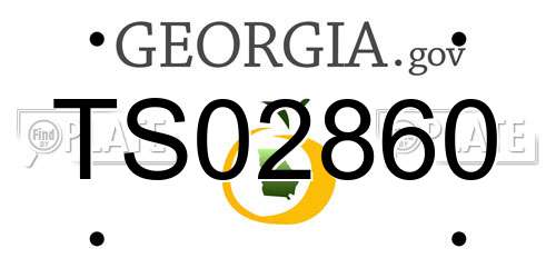 TS02860 Georgia License Plate