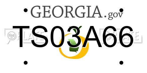 TS03A66 Georgia License Plate