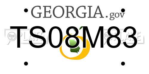 TS08M83 Georgia License Plate