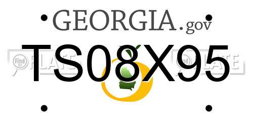 TS08X95 Georgia License Plate
