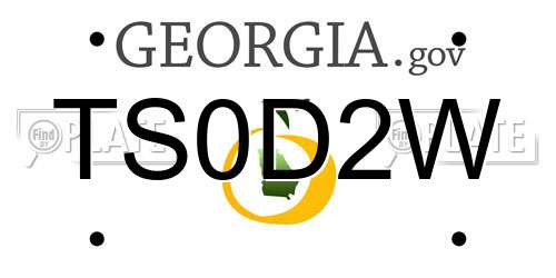 TS0D2W Georgia License Plate