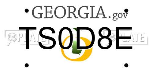 TS0D8E Georgia License Plate