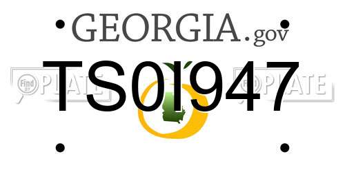 TS0I947 Georgia License Plate