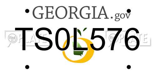 TS0L576 Georgia License Plate