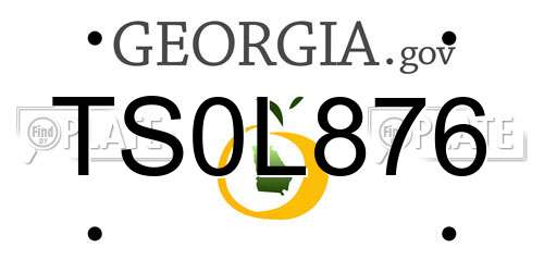 TS0L876 Georgia License Plate