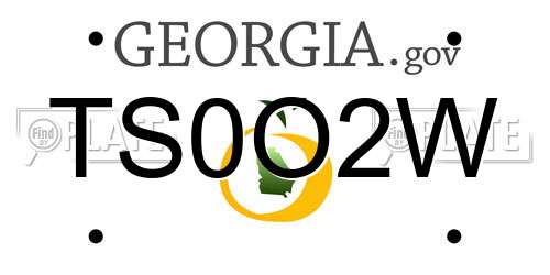TS0O2W Georgia License Plate
