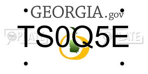 TS0Q5E Georgia License Plate