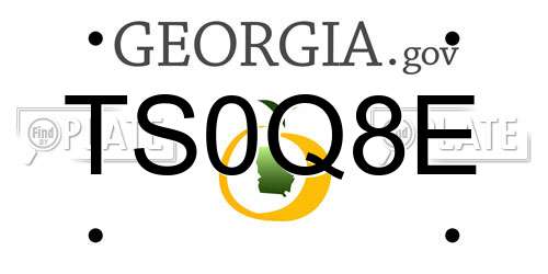 TS0Q8E Georgia License Plate