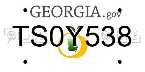 TS0Y538 Georgia License Plate