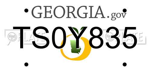 TS0Y835 Georgia License Plate