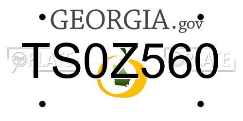 TS0Z560 Georgia License Plate