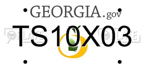 TS10X03 Georgia License Plate